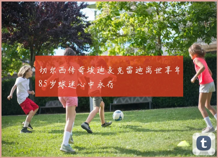 切尔西传奇埃迪麦克雷迪离世享年85岁球迷心中永存